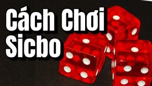 Giới Thiệu Về Trò Chơi Sicbo