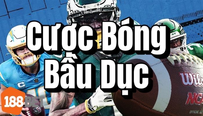 Cược Bóng Bầu Dục Mỹ