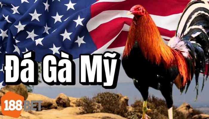 Đá Gà Mỹ