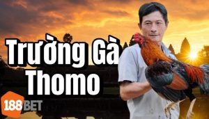 Trường Gà Thomo