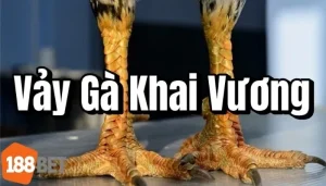 Vảy Gà Khai Vương